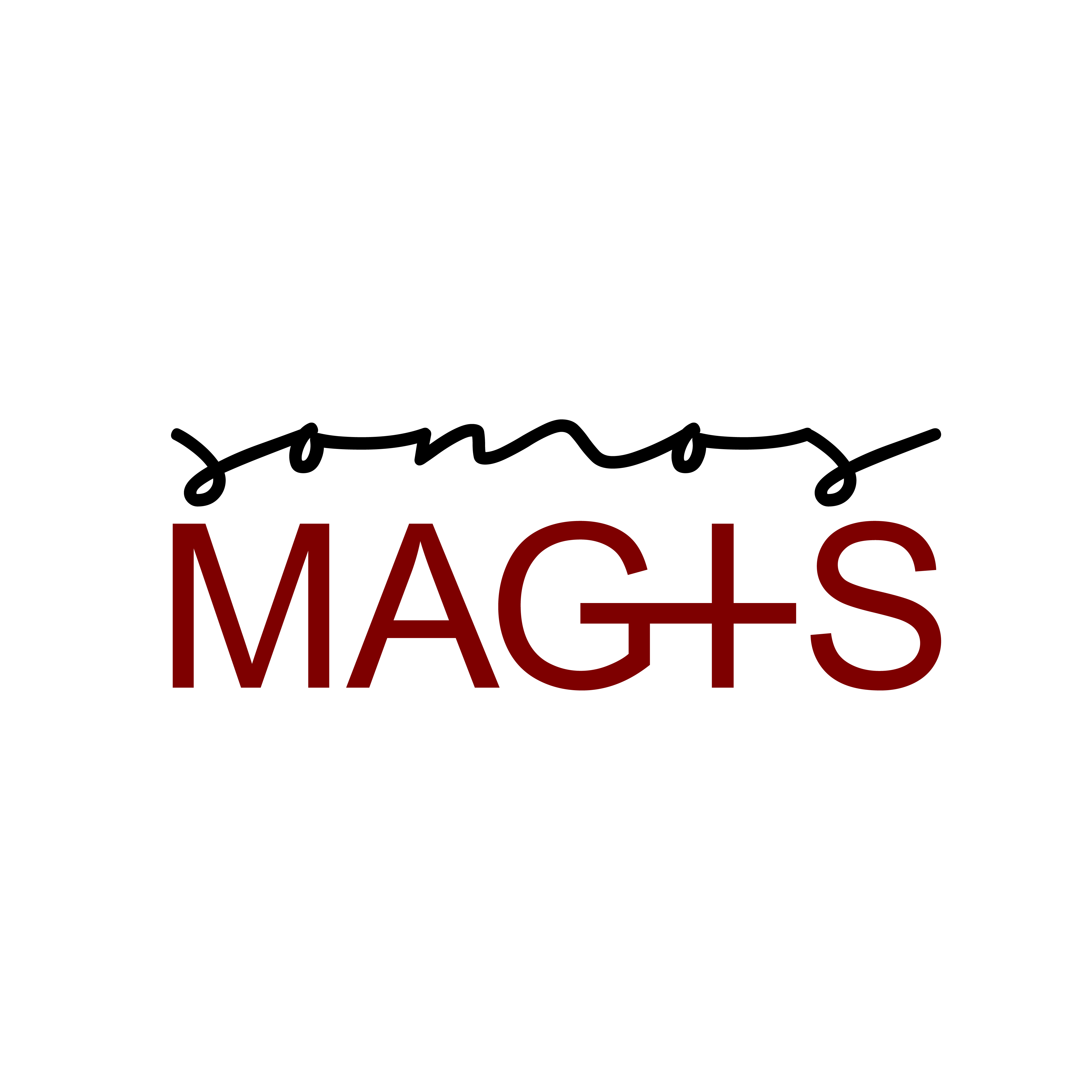 Asociación Civil Somos Magis